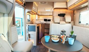 LAIKA Ecovip L 2009 complet